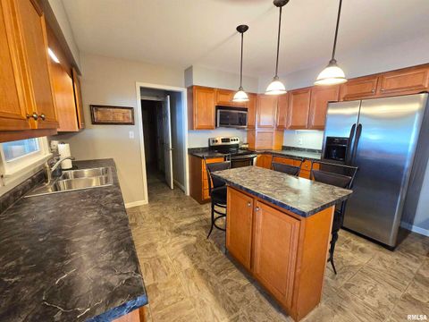 Tiny photo for 1782 Frazier Avenue, Centralia, IL 62801 (MLS # EB460142)