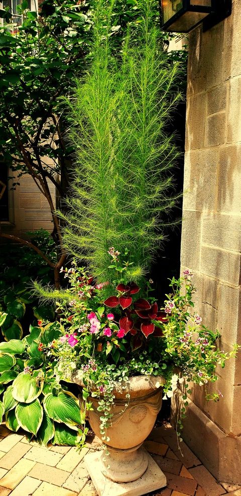 Tiny photo for 6334 N Sheridan Road #3E, Chicago, IL 60660 (MLS # 12400991)