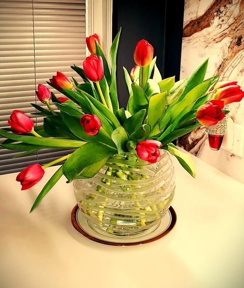 Tiny photo for 6334 N Sheridan Road #3E, Chicago, IL 60660 (MLS # 12400991)