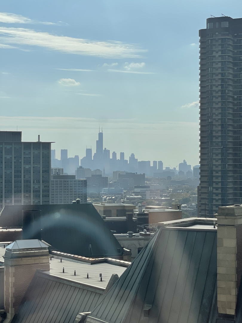 3900 N Lake Shore Drive 25C