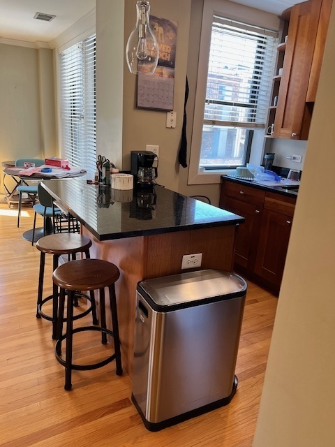 4144 N Sheridan Road 308