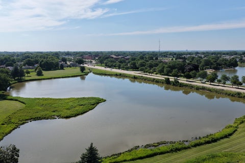 Tiny photo for 31 S Salem Drive, Schaumburg, IL 60193 (MLS # 12698539)