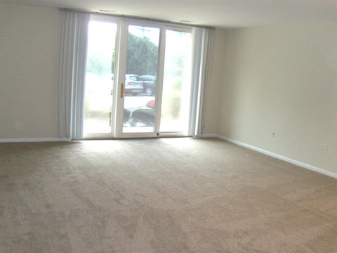 Tiny photo for 125 Acacia Circle #112, Indian Head Park, IL 60525 (MLS # 12767557)