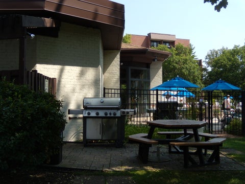 Tiny photo for 125 Acacia Circle #112, Indian Head Park, IL 60525 (MLS # 12767557)