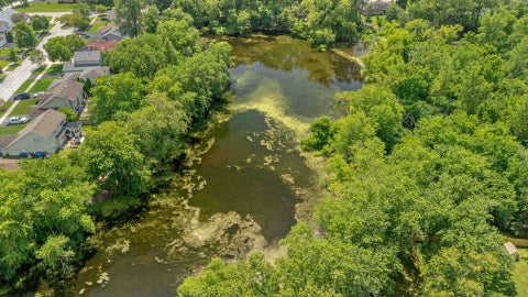 Tiny photo for 230 Lakeview Court, Steger, IL 60475 (MLS # 12725783)