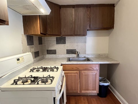 Tiny photo for 5135 S Kenwood Avenue #507, Chicago, IL 60615 (MLS # 12712813)