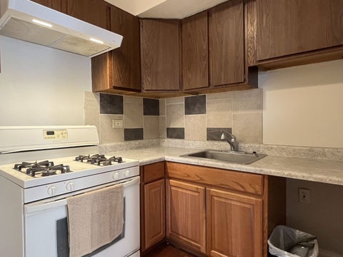 Tiny photo for 5135 S Kenwood Avenue #507, Chicago, IL 60615 (MLS # 12712813)