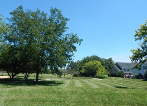 Tiny photo for 270 Butternut Lane, Streamwood, IL 60107 (MLS # 12694351)