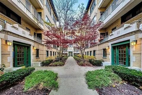 4310 N Clarendon Avenue 1020 Chicago IL 60613