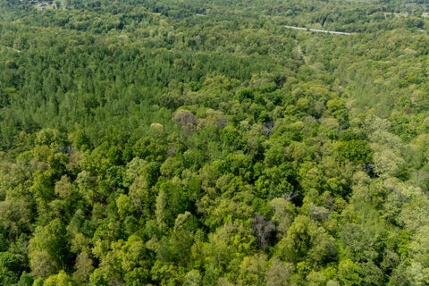 Tiny photo for 232 Potters Road, Makanda, IL 62958 (MLS # 12758698)