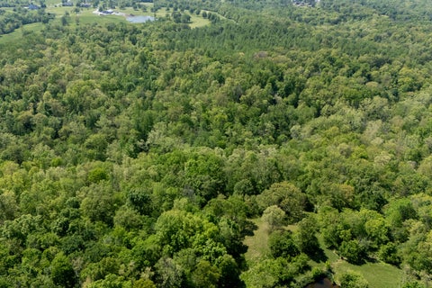 Tiny photo for 232 Potters Road, Makanda, IL 62958 (MLS # 12758698)