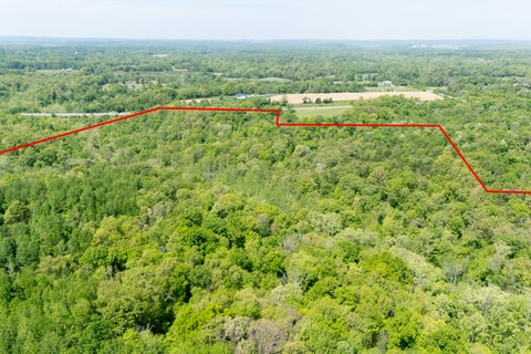 Tiny photo for 232 Potters Road, Makanda, IL 62958 (MLS # 12758698)