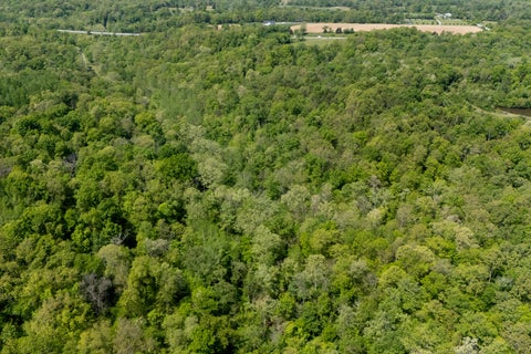 Tiny photo for 232 Potters Road, Makanda, IL 62958 (MLS # 12758698)