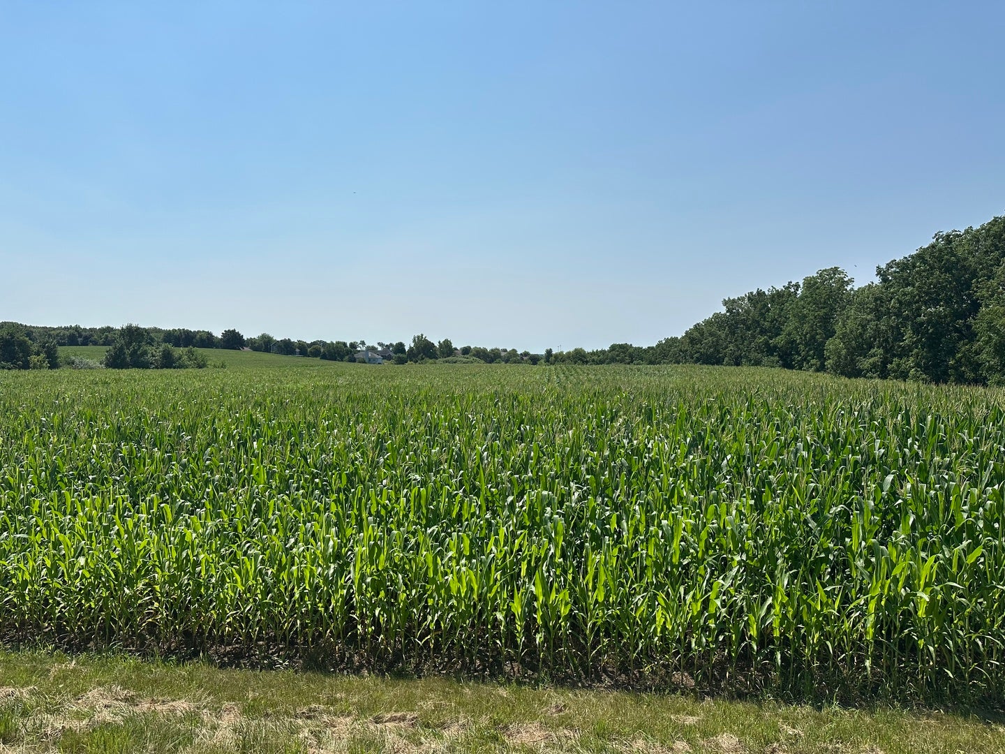 52 Acres Church Road