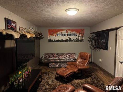 Tiny photo for 212 E Garfield Street, Minier, IL 61759 (MLS # 12510883)