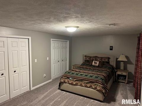 Tiny photo for 212 E Garfield Street, Minier, IL 61759 (MLS # 12510883)