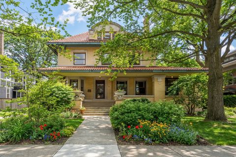 1117 Forest Avenue Evanston IL 60202