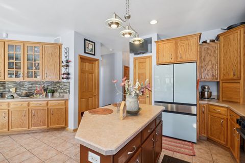 Tiny photo for 1237 W Parliament Street, Crete, IL 60417 (MLS # 12571613)