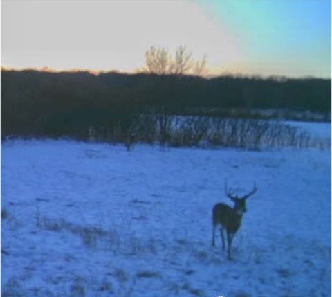 Tiny photo for 17423 Cobblestone Bend, Marengo, IL 60152 (MLS # 12589425)