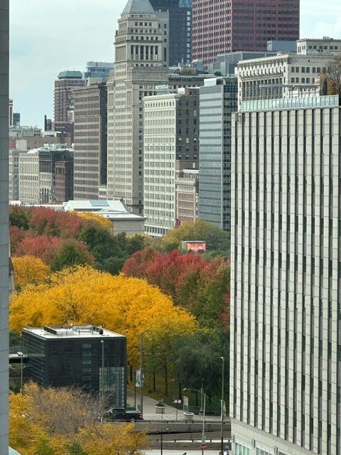 Tiny photo for 222 N Columbus Drive #1101, Chicago, IL 60601 (MLS # 12702410)