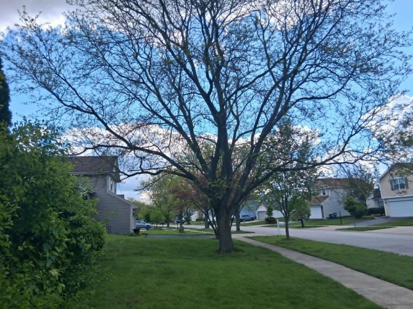 79 Brookstone Drive
