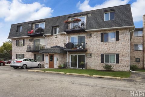 Photo of 1325 N Baldwin Court #1-D, Palatine, IL 60074 (MLS # 12399237)