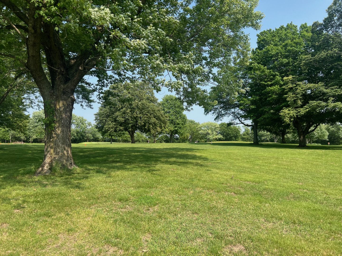 Aroma Park, Illinois 60910, United States, ,Land,Active,144695