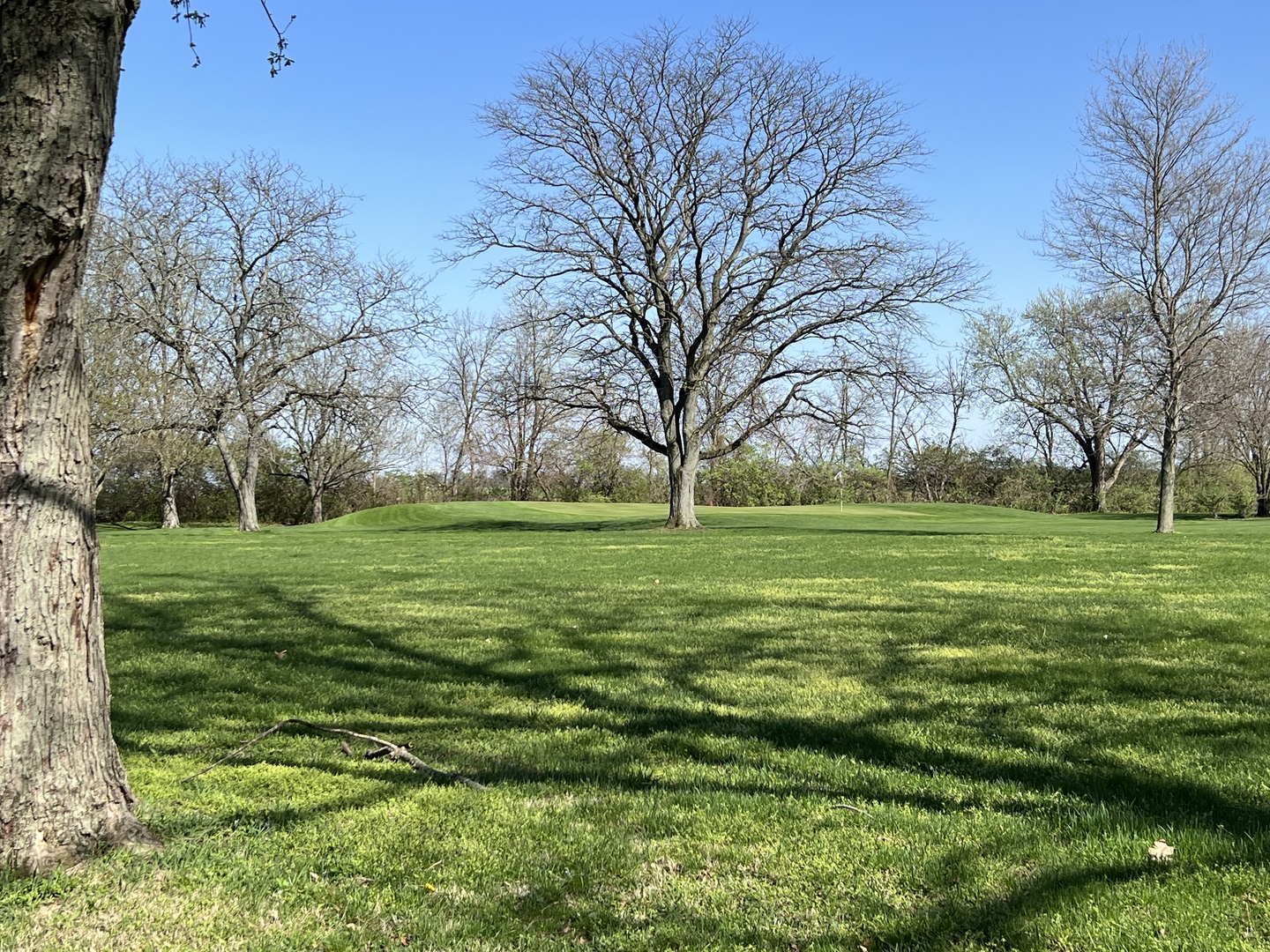 Lot 9 Elks River Estates