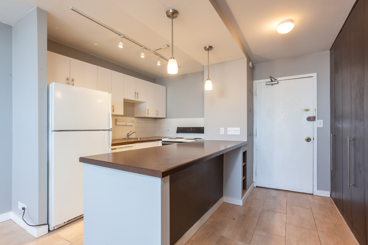 1455 N Sandburg Terrace 1607