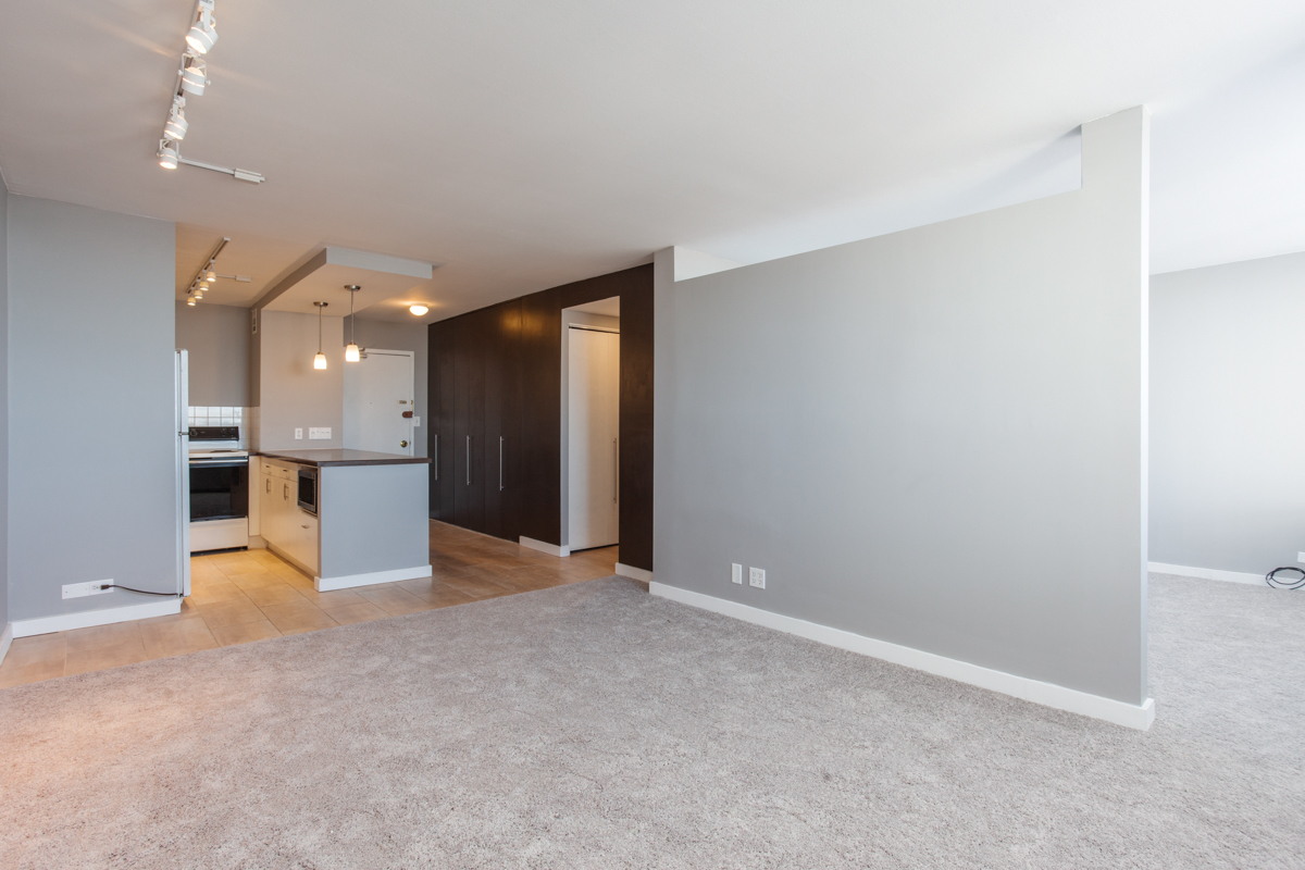 1455 N Sandburg Terrace 1607