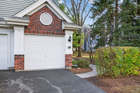 Tiny photo for 909 Little Falls Court #909, Elk Grove Village, IL 60007 (MLS # 12516479)