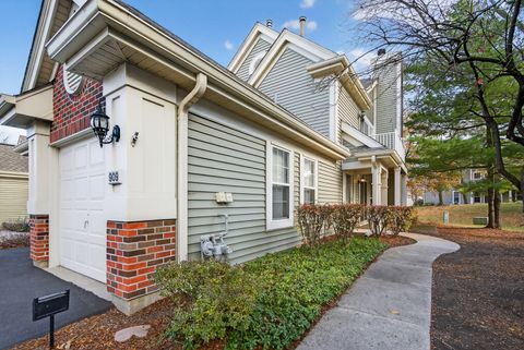 Photo of 909 Little Falls Court #909, Elk Grove Village, IL 60007 (MLS # 12516479)