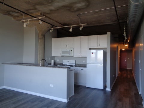 Tiny photo for 1550 S Blue Island Avenue #808, Chicago, IL 60608 (MLS # 12684278)