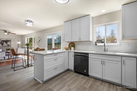 Tiny photo for 627 Grace Drive, Lake In The Hills, IL 60156 (MLS # 12613497)
