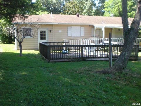 Tiny photo for 500 S WASHINGTON Street, Desoto, IL 62924 (MLS # EB459010)