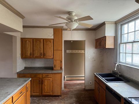 Tiny photo for 103 S 22ND Street, Murphysboro, IL 62966 (MLS # QC4269308)