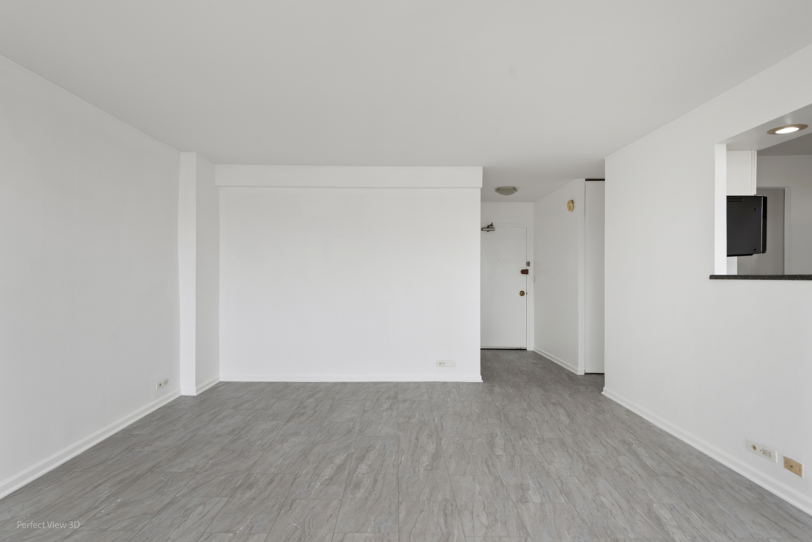 1355 N Sandburg Terrace 2306D