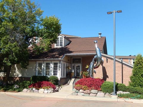 Tiny photo for 123 Willow Brook Court #3, Schaumburg, IL 60195 (MLS # 12527978)