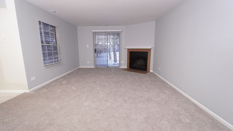 Tiny photo for 123 Willow Brook Court #3, Schaumburg, IL 60195 (MLS # 12527978)