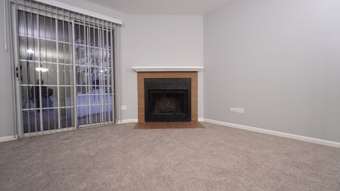 Tiny photo for 123 Willow Brook Court #3, Schaumburg, IL 60195 (MLS # 12527978)