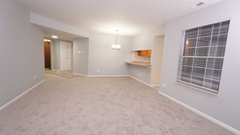 Tiny photo for 123 Willow Brook Court #3, Schaumburg, IL 60195 (MLS # 12527978)