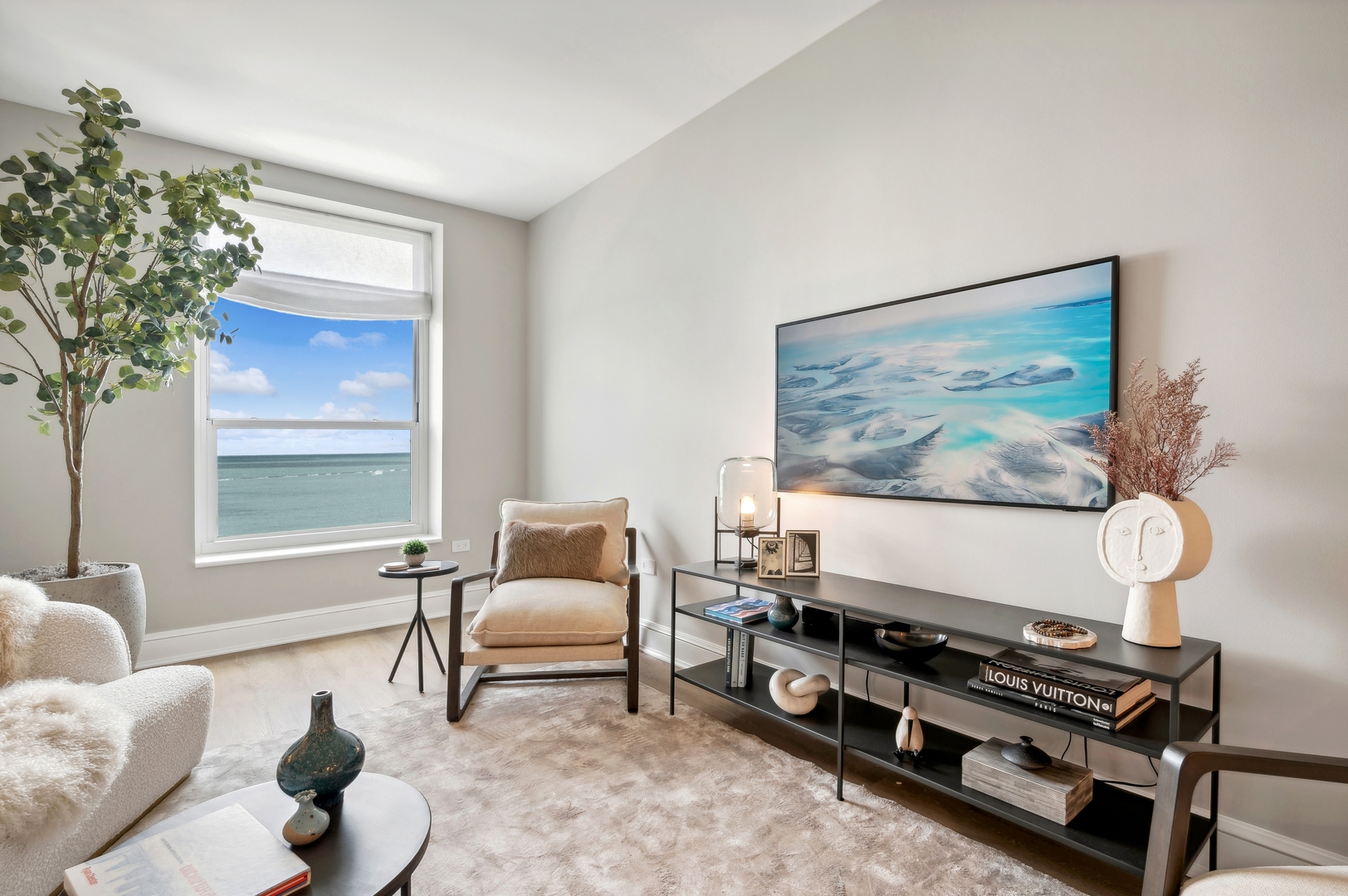 850 N Lake Shore Drive 1002