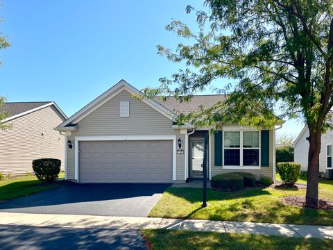 704 Flag Drive Shorewood IL 60404