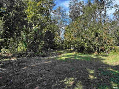 Tiny photo for 13253 N GREENBRIAR Road, Carterville, IL 62918 (MLS # EB460153)