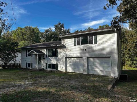 Photo of 13253 N GREENBRIAR Road, Carterville, IL 62918 (MLS # EB460153)