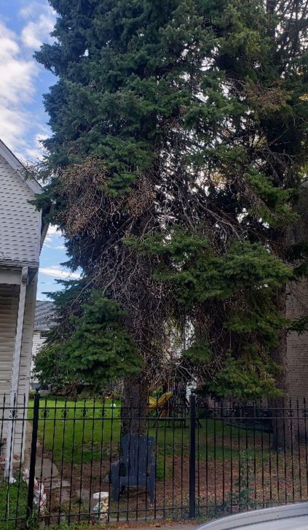 1937 N Kedzie Avenue