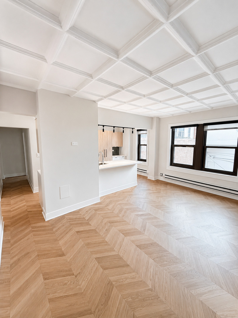 1211 N LASALLE Street 303