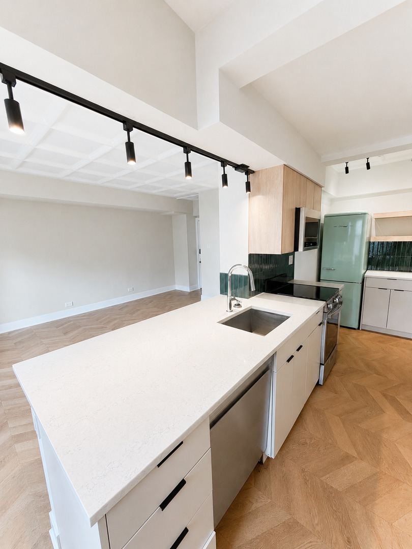 1211 N LASALLE Street 303