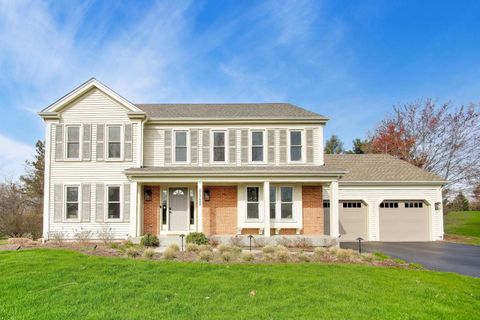 21752 N Mayfield Lane Deer Park IL 60010