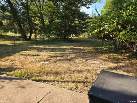 Tiny photo for 1110 W Walkup Street, Carbondale, IL 62901 (MLS # EB459531)